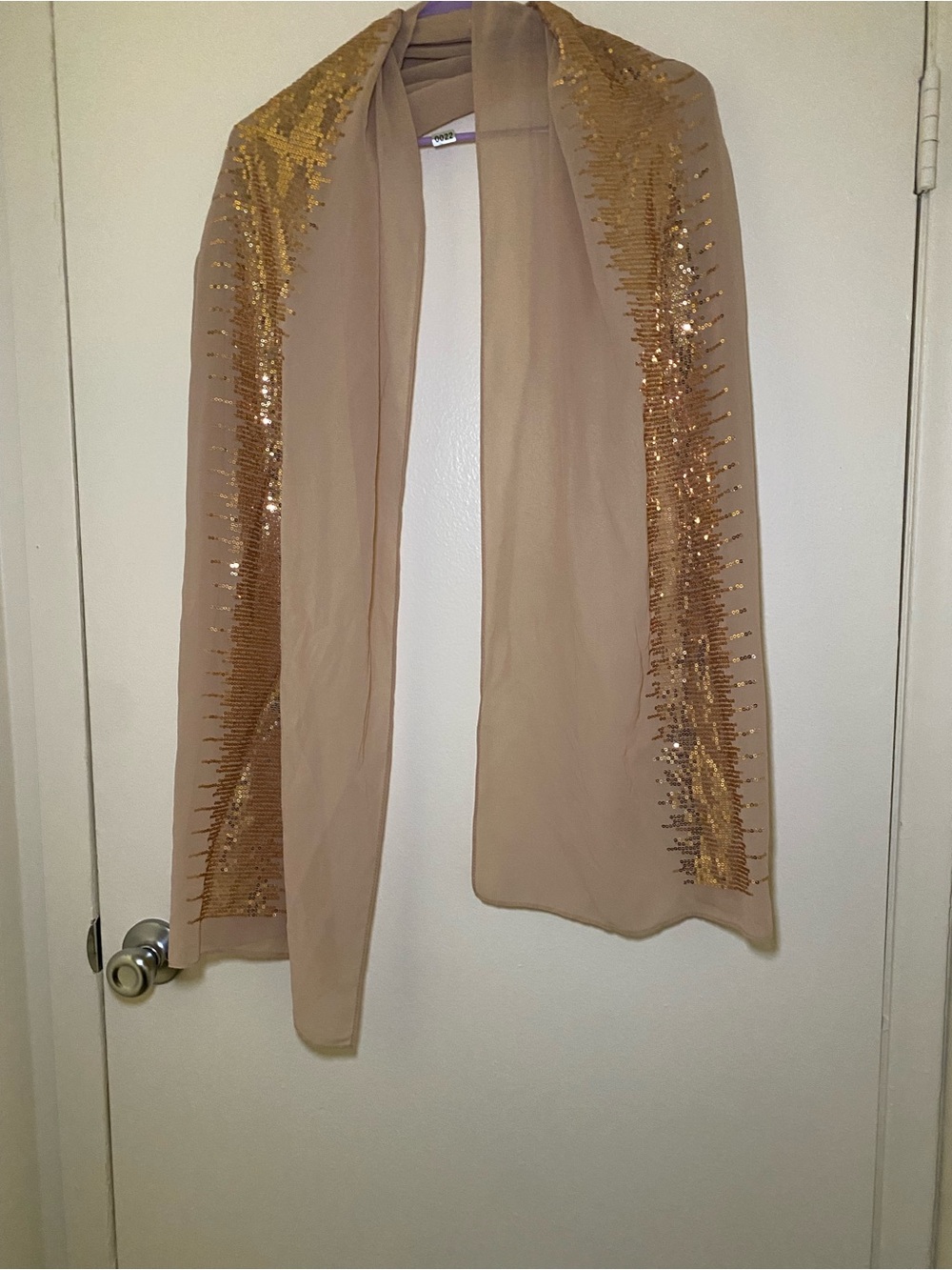 Sequin-Trim Beige Women’s Scarf/shawl - Elegant Evening Wear